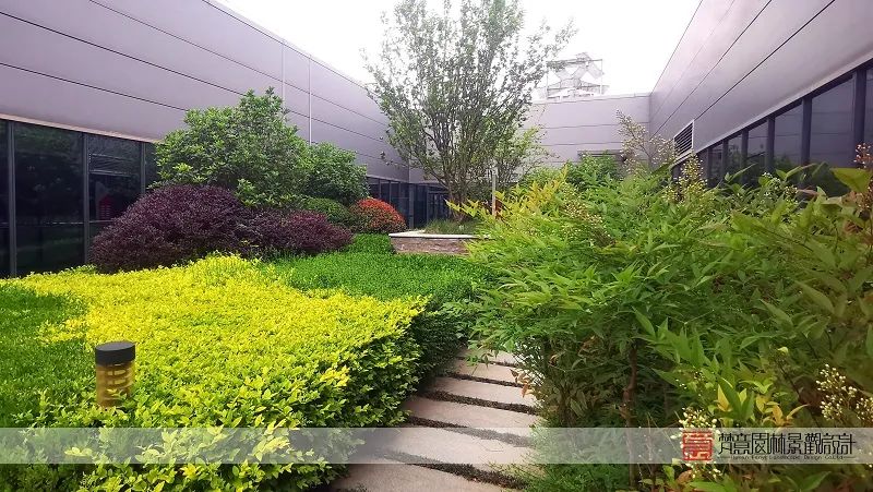 屋頂花園設計